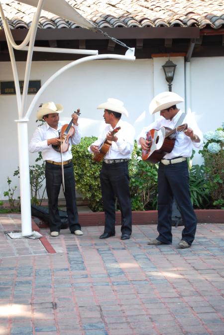 Son Huasteco Groupe de musique &amp; Musicien Liste 